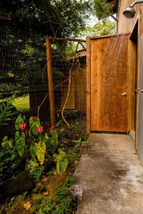 Jungle Haven Ocean Front Eco Villa On Fruit Farm Pahoa Zewnętrze zdjęcie