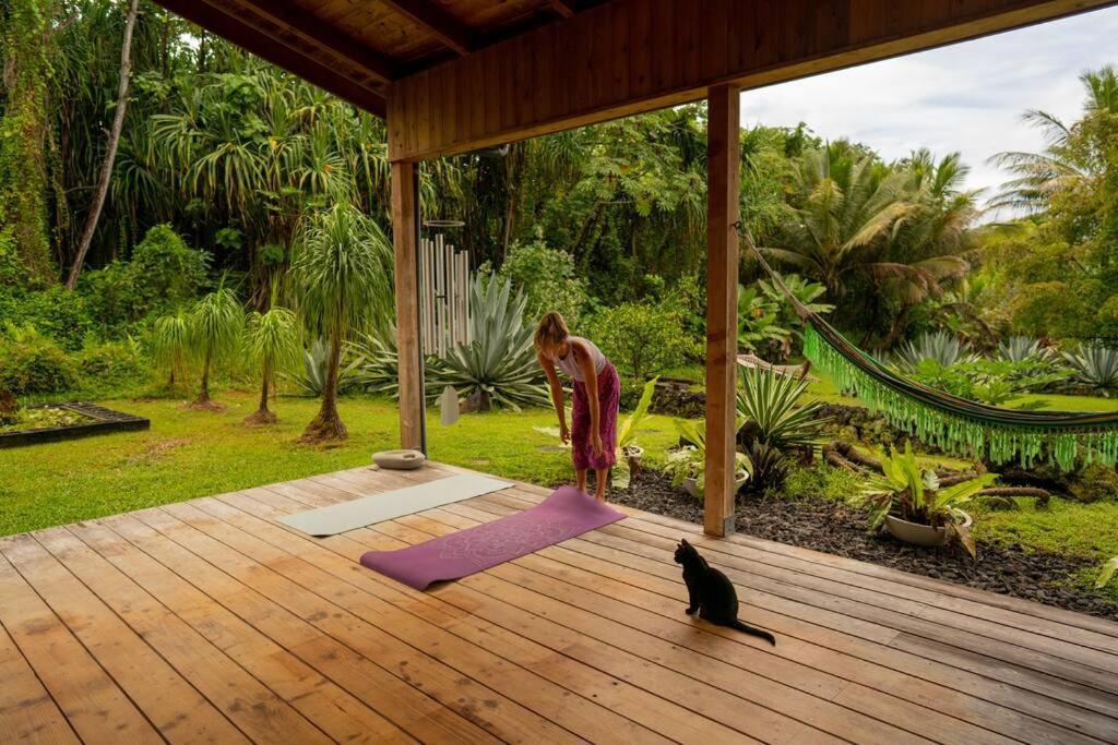 Jungle Haven Ocean Front Eco Villa On Fruit Farm Pahoa Zewnętrze zdjęcie