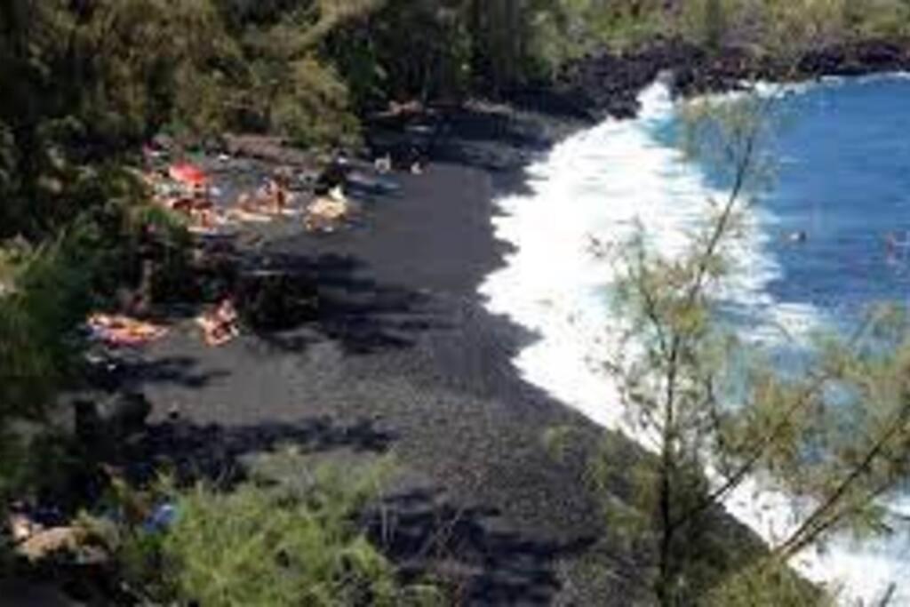 Jungle Haven Ocean Front Eco Villa On Fruit Farm Pahoa Zewnętrze zdjęcie