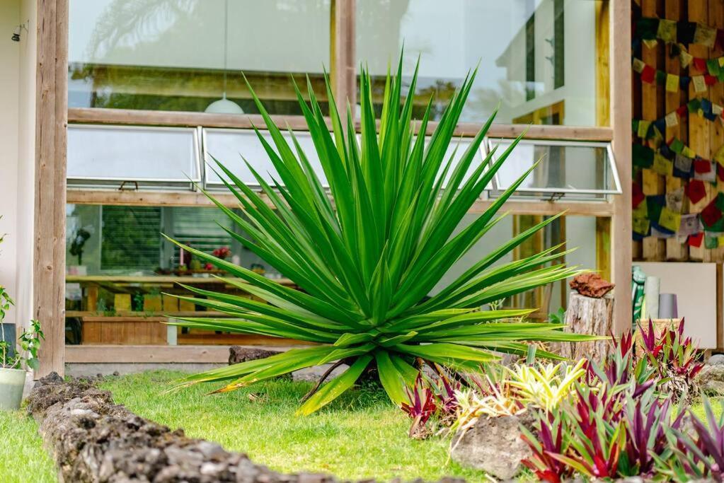 Jungle Haven Ocean Front Eco Villa On Fruit Farm Pahoa Zewnętrze zdjęcie
