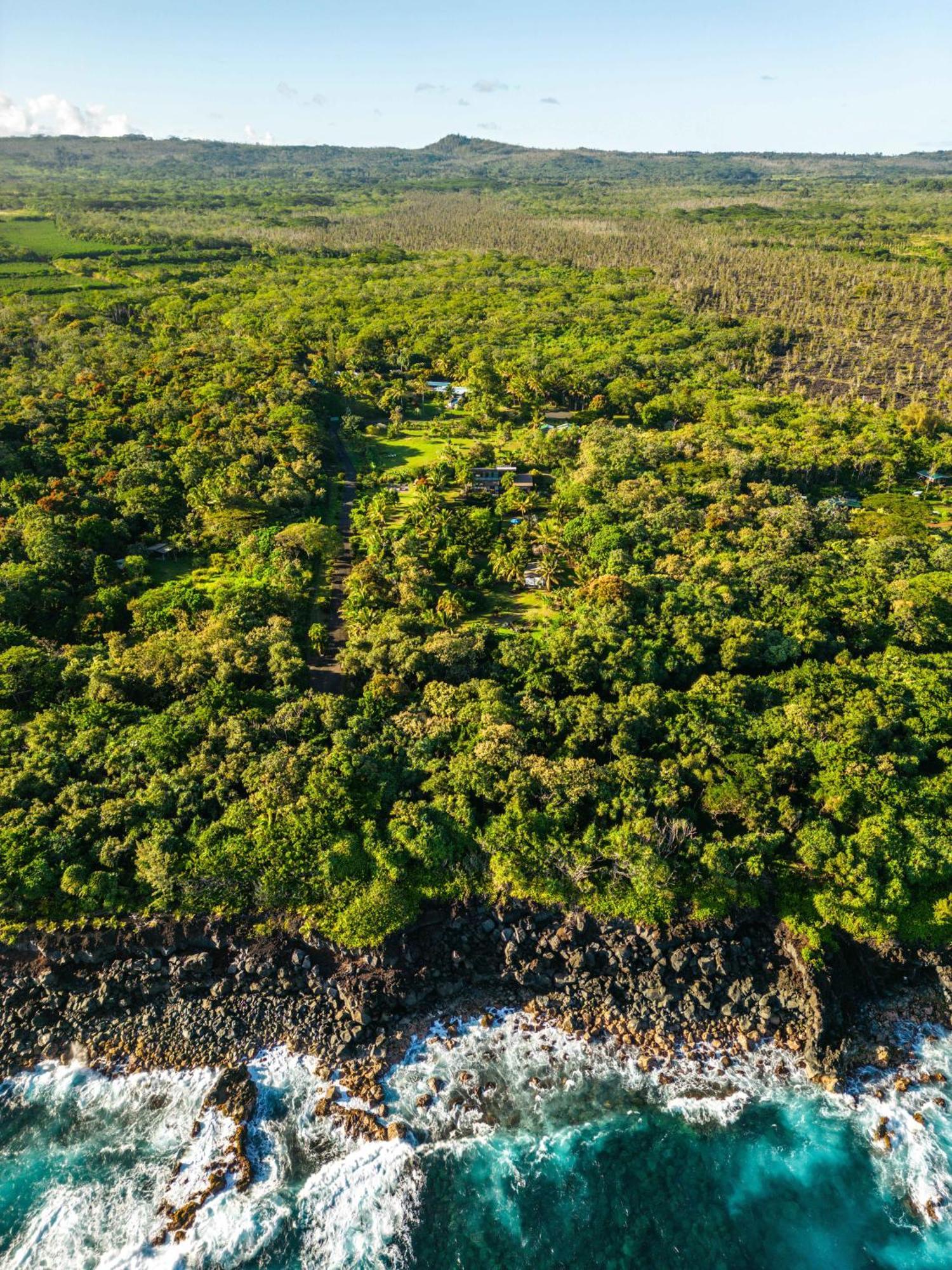 Jungle Haven Ocean Front Eco Villa On Fruit Farm Pahoa Zewnętrze zdjęcie