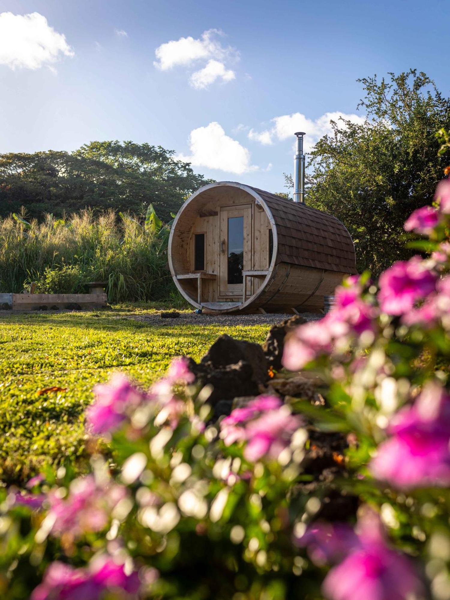 Jungle Haven Ocean Front Eco Villa On Fruit Farm Pahoa Zewnętrze zdjęcie
