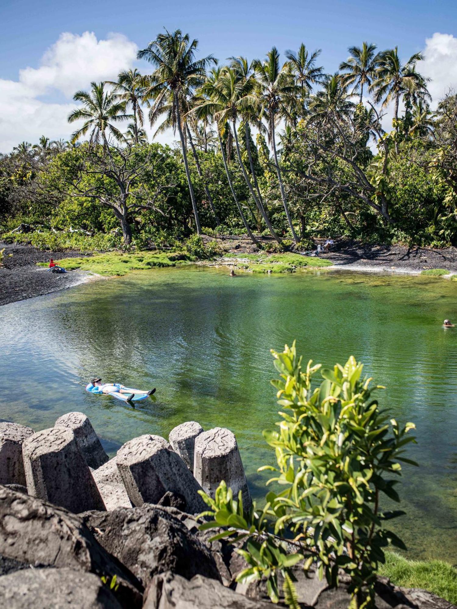 Jungle Haven Ocean Front Eco Villa On Fruit Farm Pahoa Zewnętrze zdjęcie