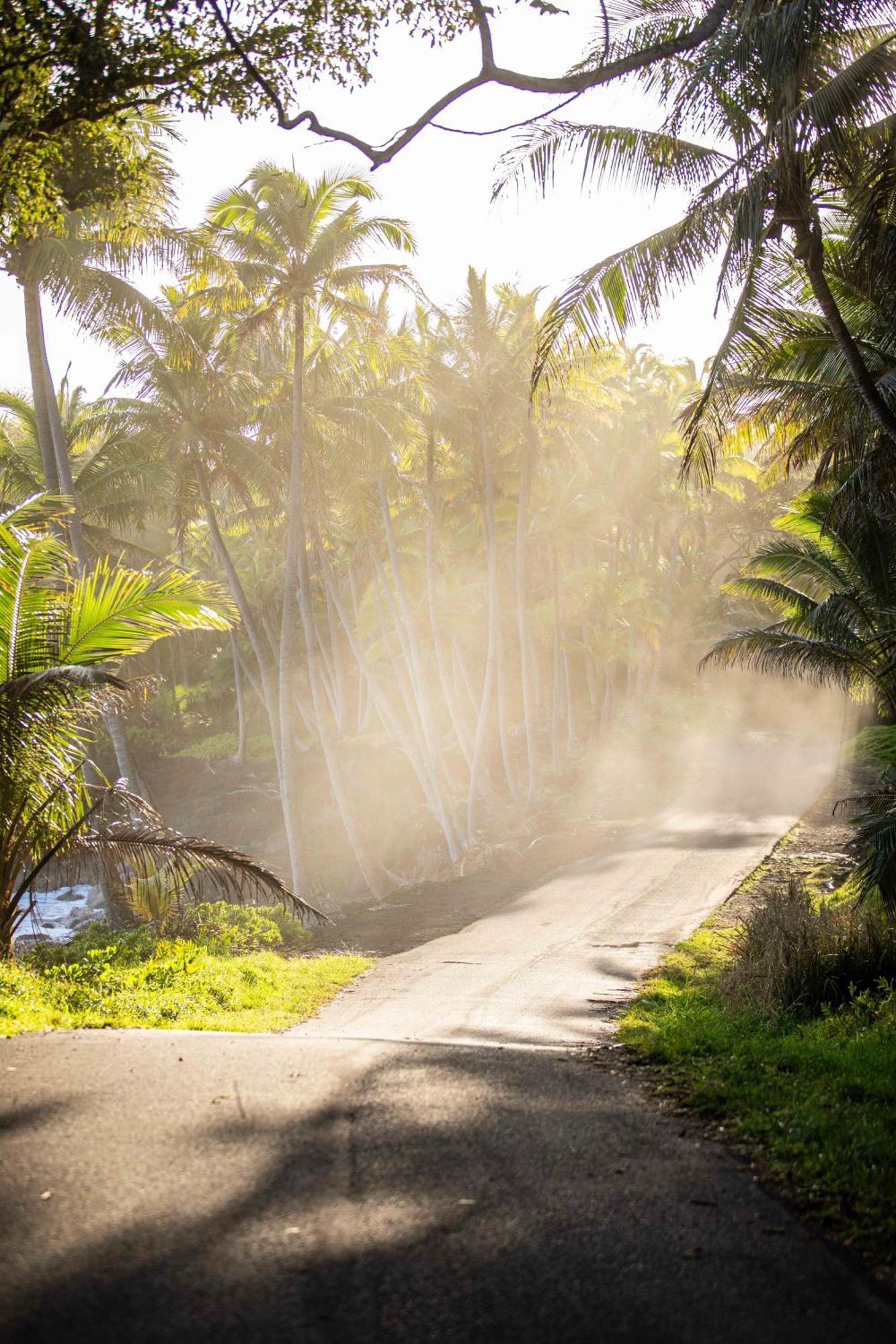 Jungle Haven Ocean Front Eco Villa On Fruit Farm Pahoa Zewnętrze zdjęcie